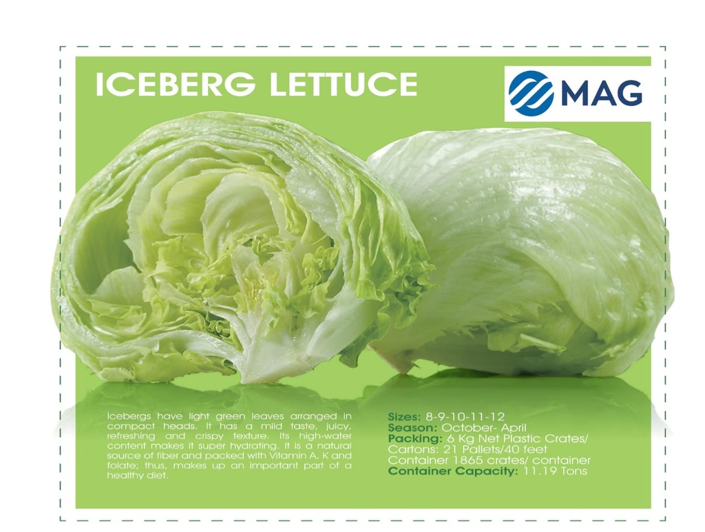 Iceberg Lettuce